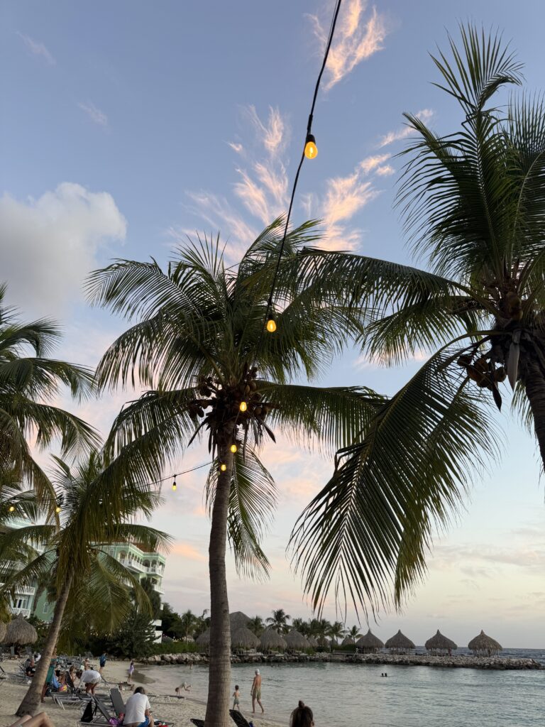 Der Ozean atmet für uns – warum mich meine erste Woche in der Karibik traurig gemacht hat