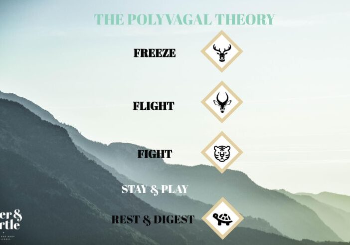 Polyvagal theory